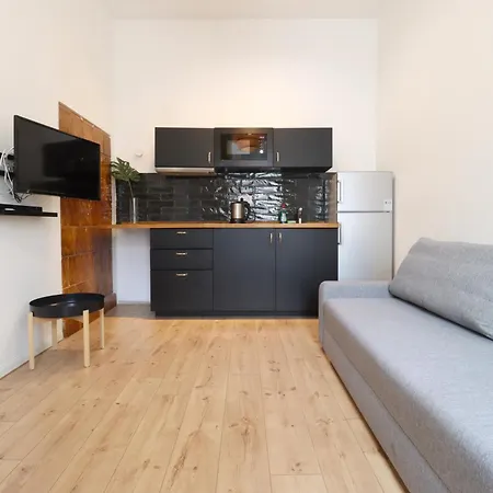 A13 Downtown With Parking Appartement